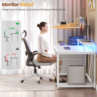 SEDETA | 55 Inch LED Ergonomic Gaming Desk Computer Table for Home Office with Storage Drawers Shelves